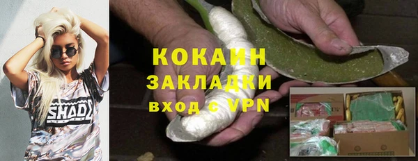 трава Балахна