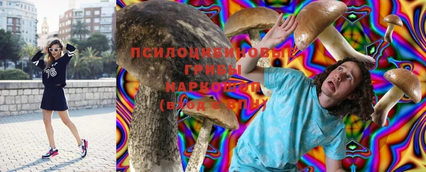 spice Балабаново