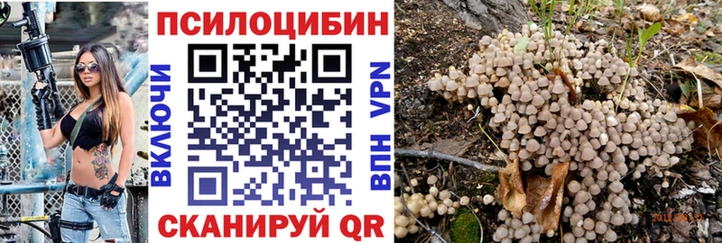 купить наркотики сайты  Ессентуки  мега как войти  Псилоцибиновые грибы Psilocybine cubensis 